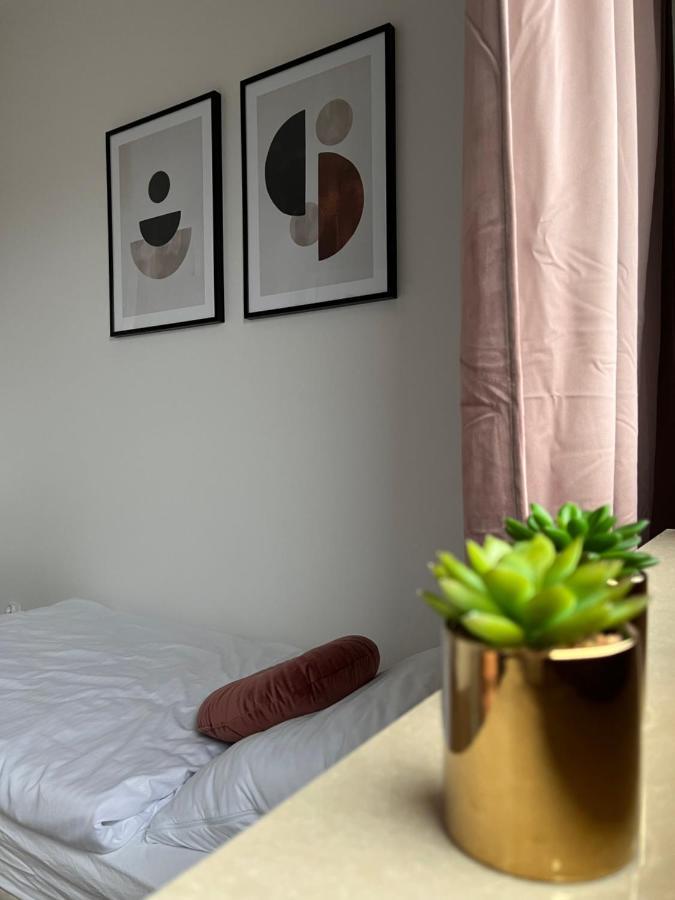 Appartement Apartament Reymonta Park à Piotrków Trybunalski Extérieur photo